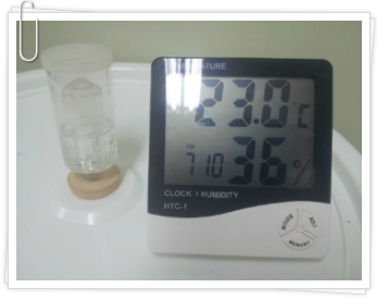 달보드레13 이미지