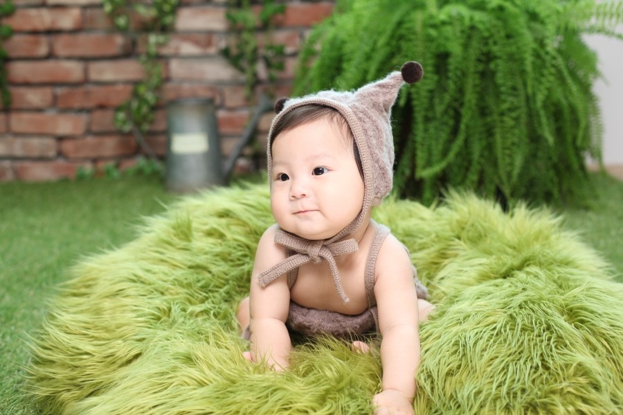 스튜디오 동화 이미지