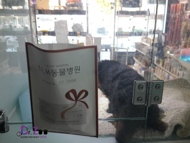 (주)닥터엠 이미지