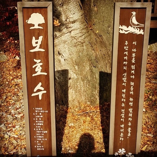 도서관가는길 이미지