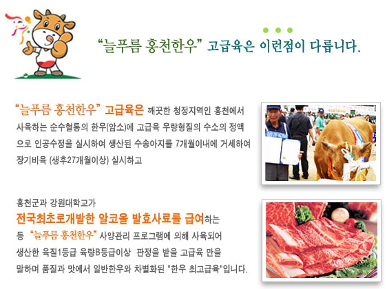 늘푸름개발 이미지