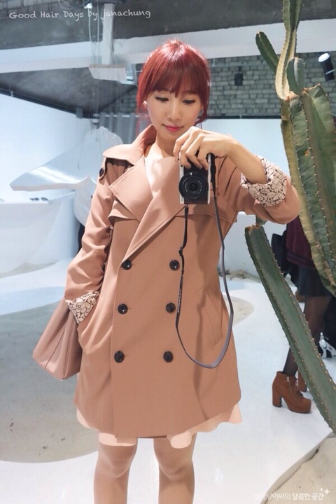 핑크로즈빈티지 이미지