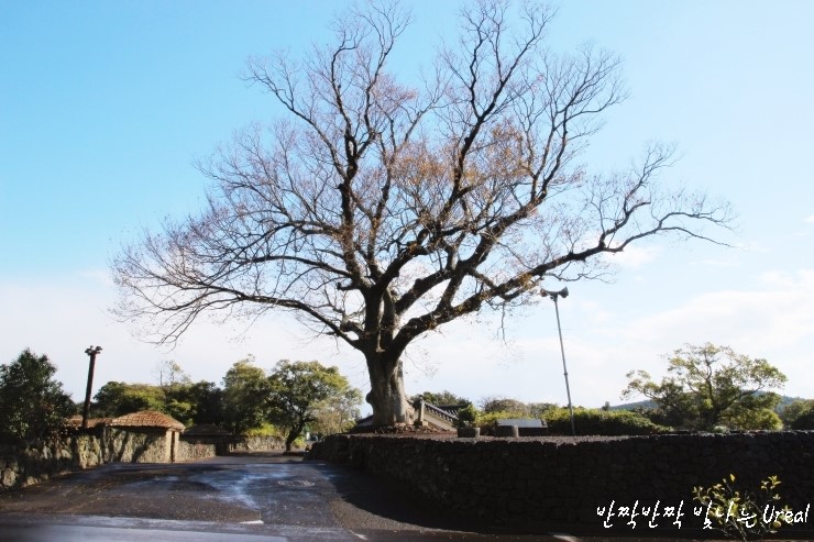 한라식당 이미지