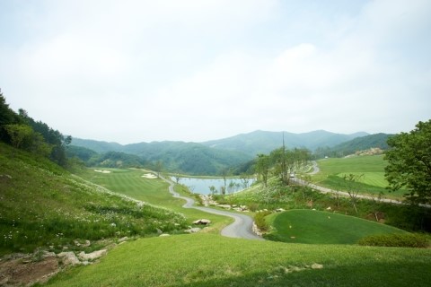 송호골프디자인주 이미지