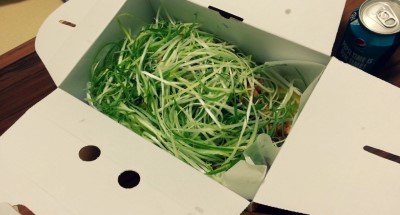 왕천(王天)파닭 이미지
