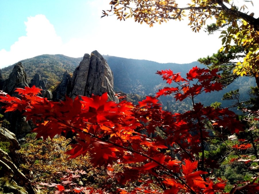 강산 이미지