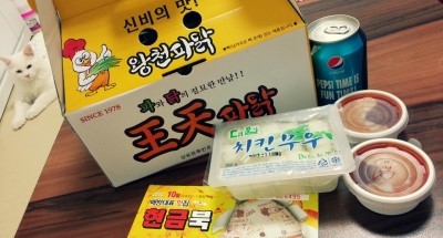 왕천(王天)파닭 이미지