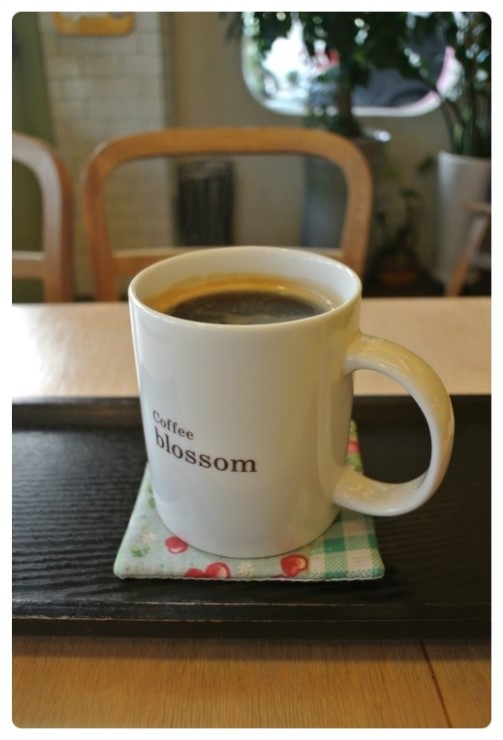 커피블러썸(coffee blossom) 이미지