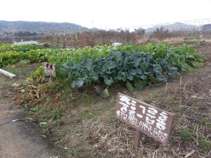광주광역시남구문화원 이미지