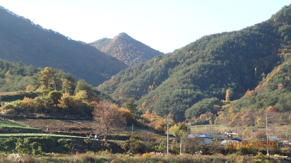 영덕학생야영장 이미지