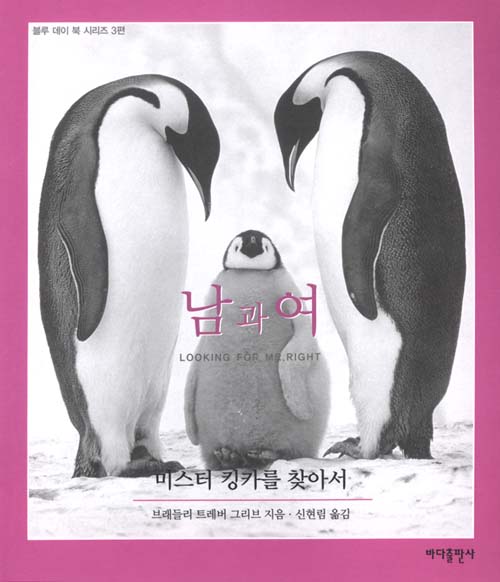 미스터블루(MR.블루) 이미지