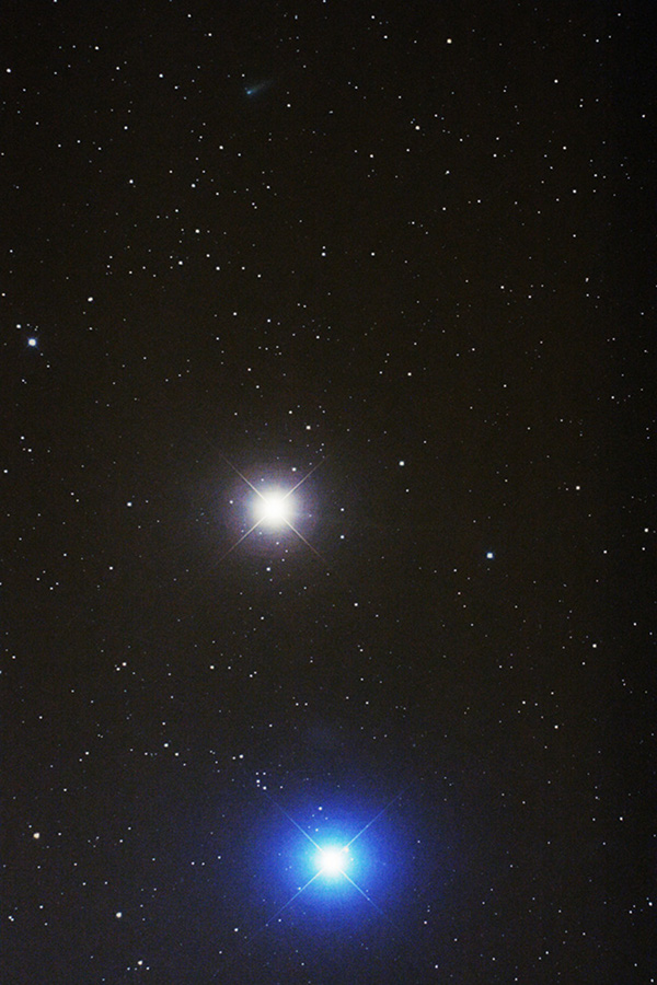 레굴루스(Regulus) 이미지