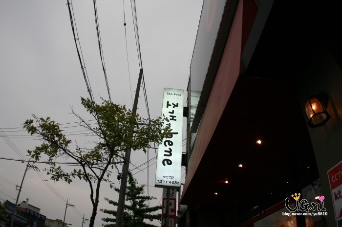 조개베네 이미지