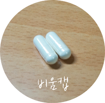 온바디 이미지