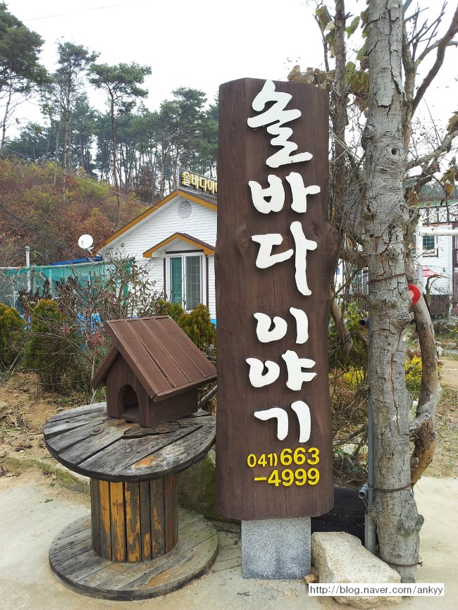 솔바다이야기 이미지