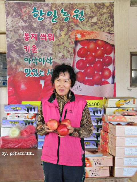한일농원 이미지