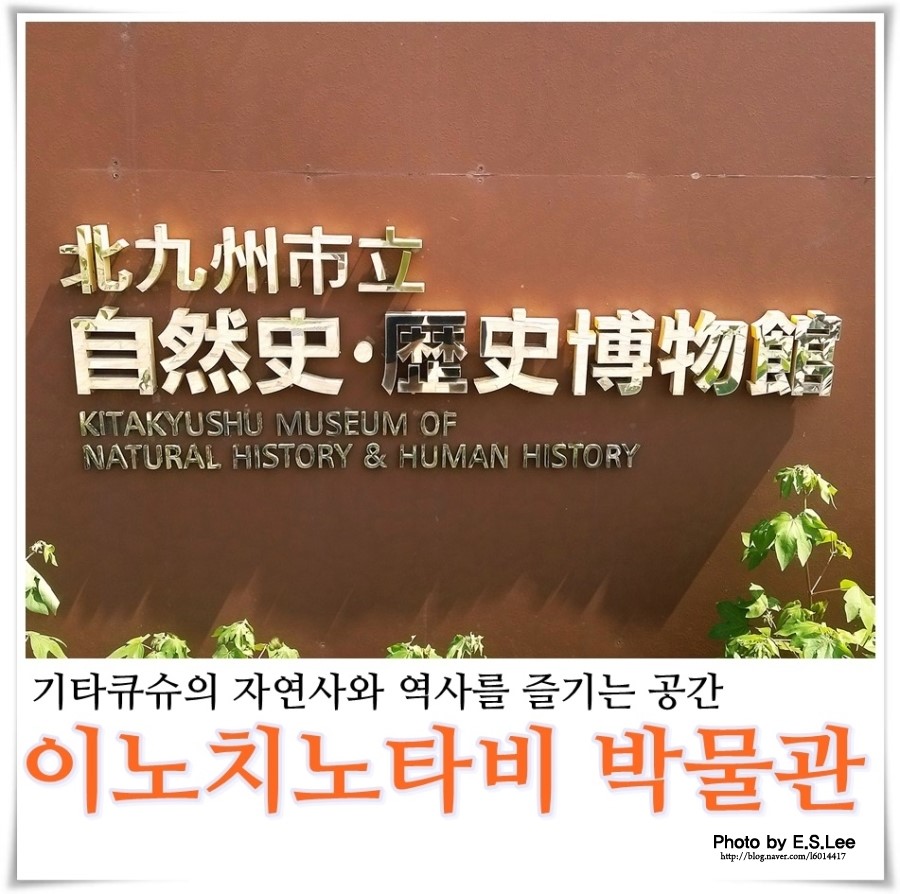 타비たび 이미지