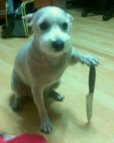 땡스살롱 이미지