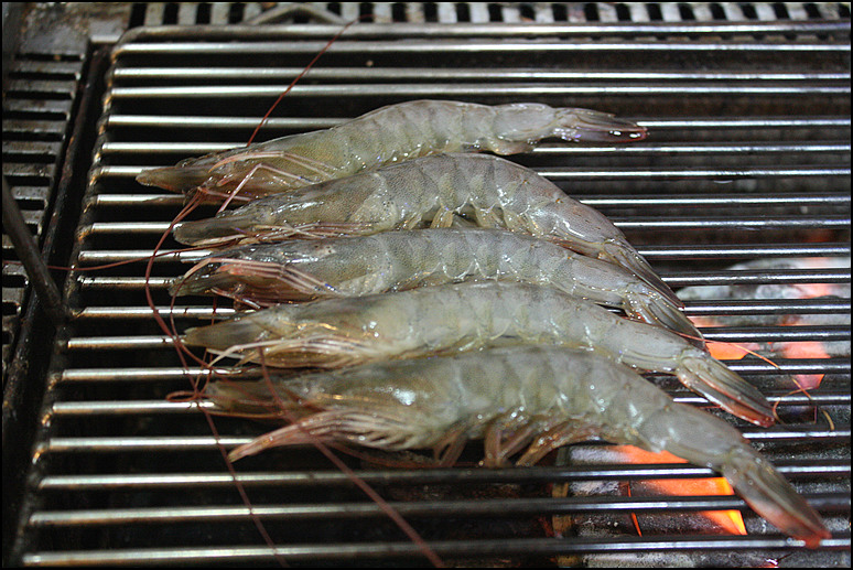 바다속이야기 이미지