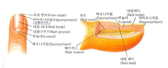 네일잇고 이미지