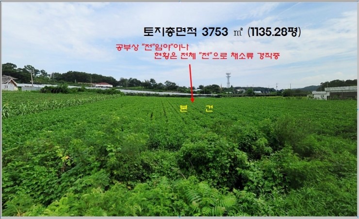 인천강화옹진축산업협동조합 이미지