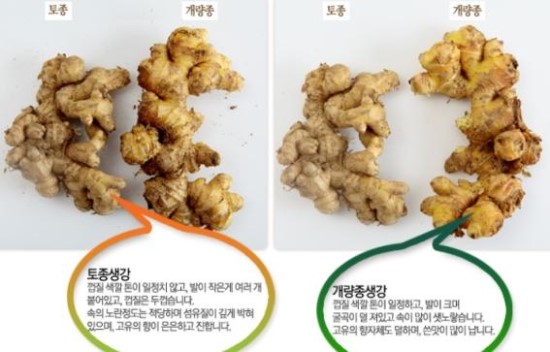 토종식품 이미지