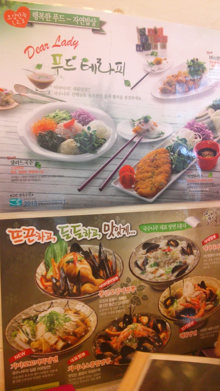 국수나무 이미지