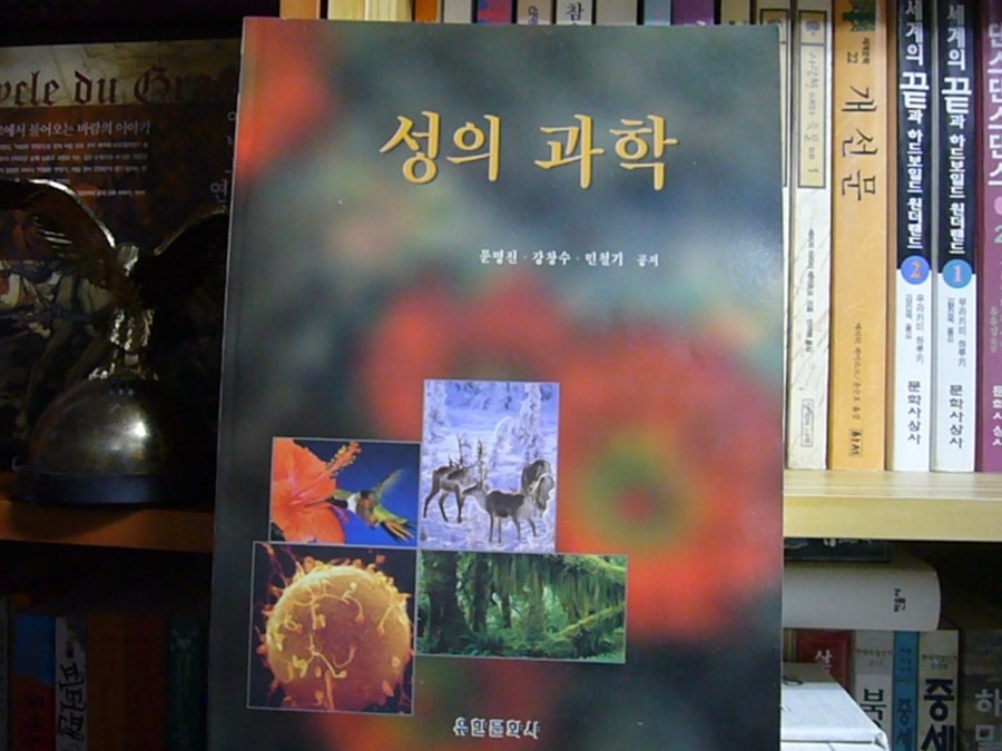 성의문화사 이미지