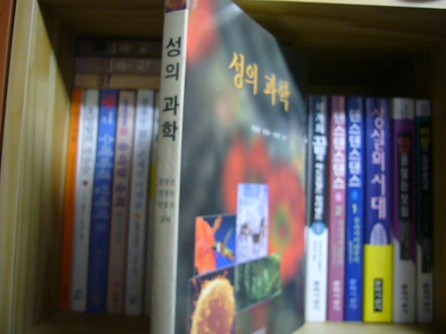 성의문화사 이미지