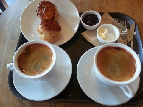 커피블러썸(coffee blossom) 이미지