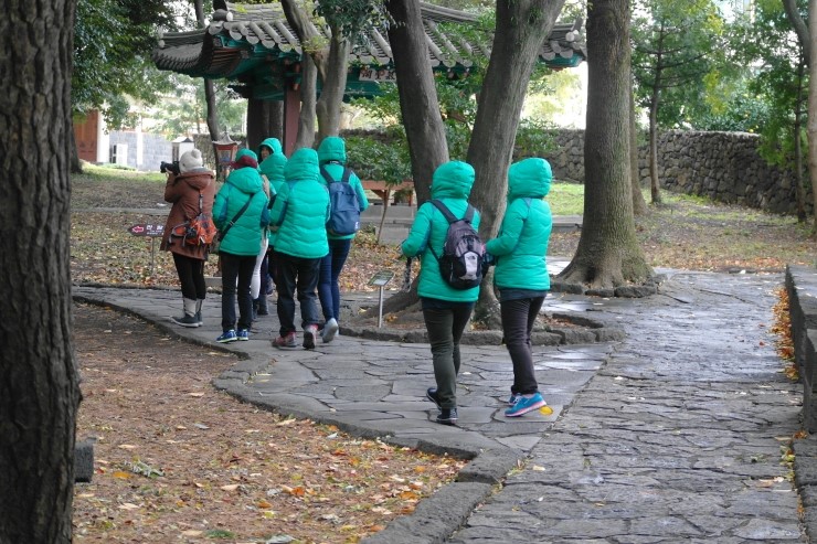 크로커다일제주 이미지