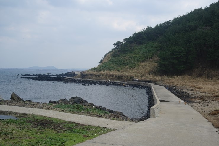 크로커다일제주 이미지