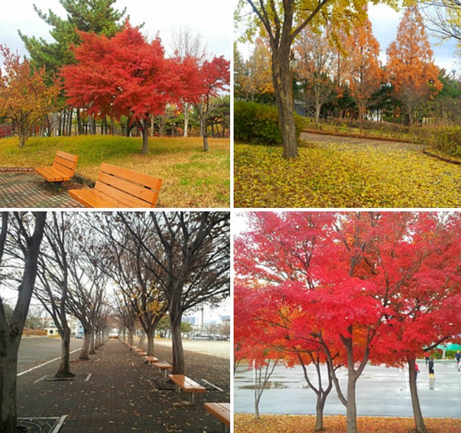 체육시설관리사무소 이미지