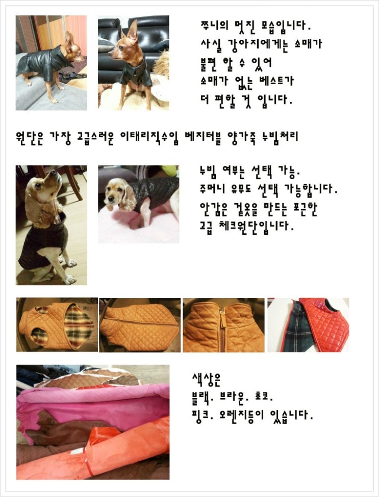 가죽쟁이 이미지