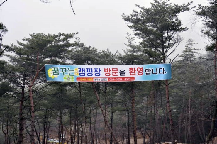 곡성사슴 이미지