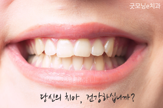 e-하나로치과 이미지
