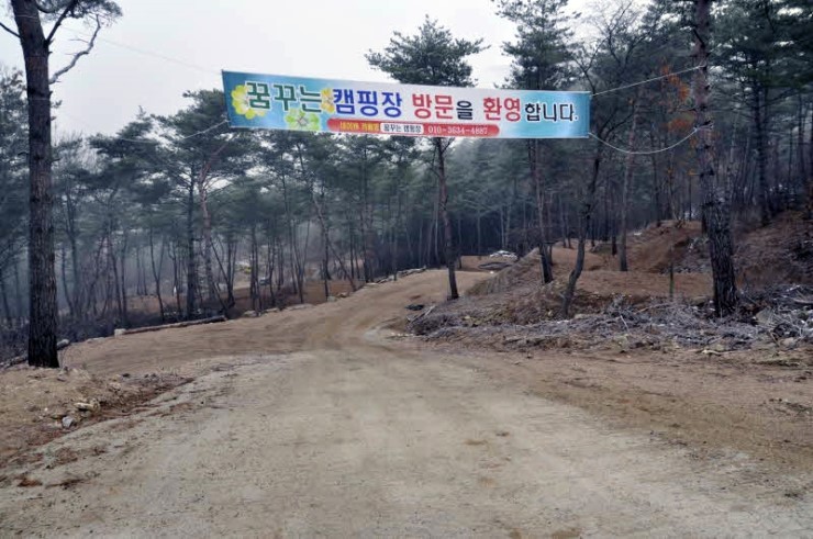 곡성사슴 이미지