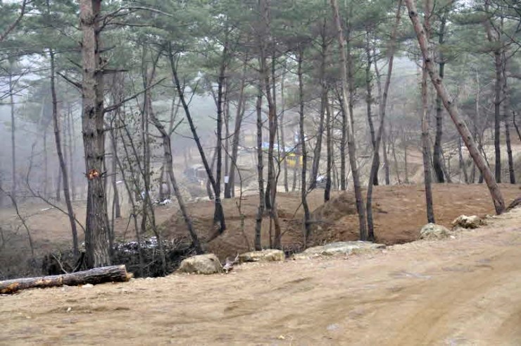 곡성사슴 이미지