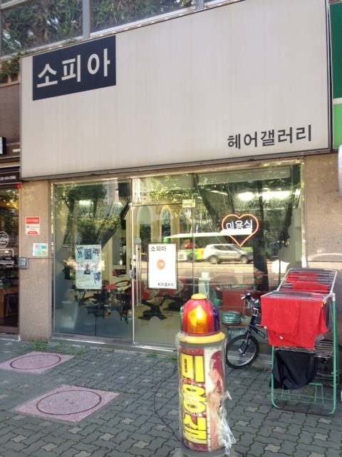 소피아헤어샵 이미지