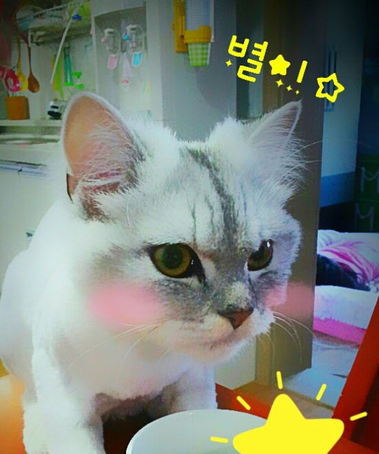 하이고 이미지