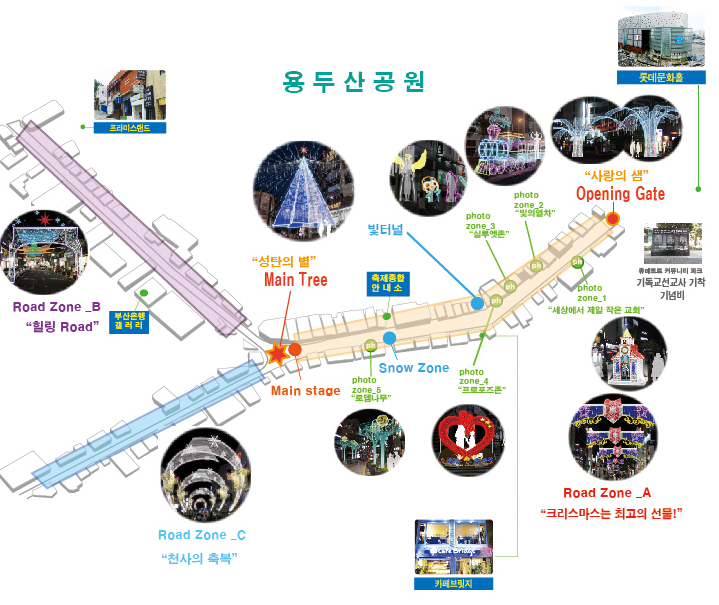 로뎀트리로뎀나무 이미지