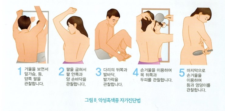 이지연성형외과 이미지