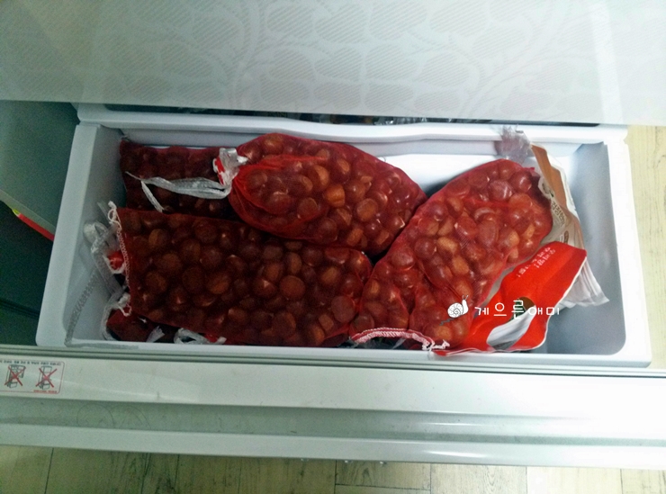 웅이네 온라인 이미지