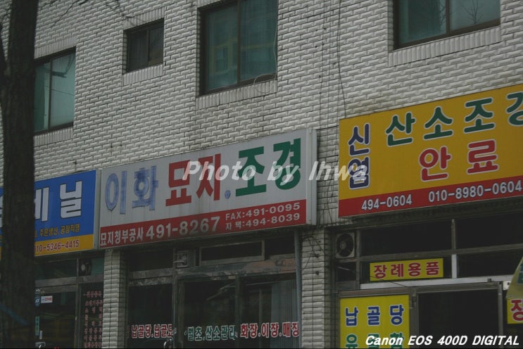 이화조경 이미지