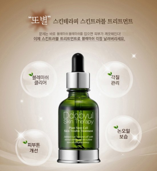 에스엔안 이미지