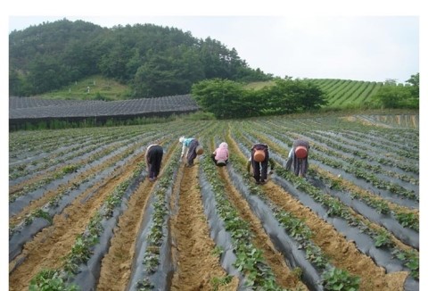 좋은마켓진안산 이미지