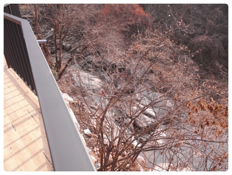 치악산송어횟집 이미지