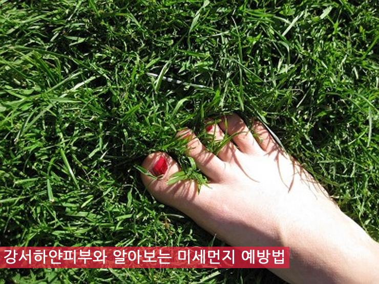 목련피부관리실 이미지