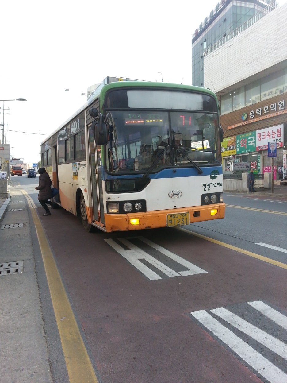 벽산청과 이미지