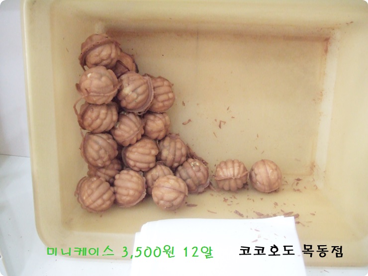 코코호도목동점 이미지